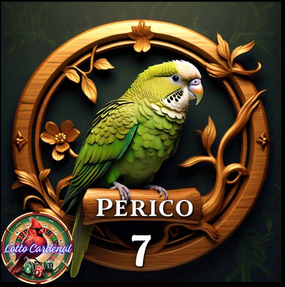 07-perico