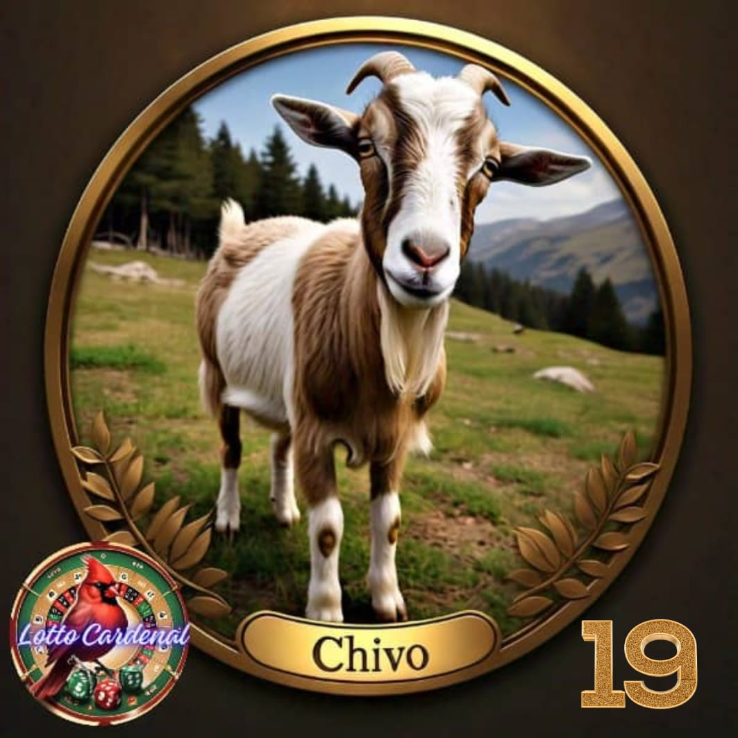 19-chivo