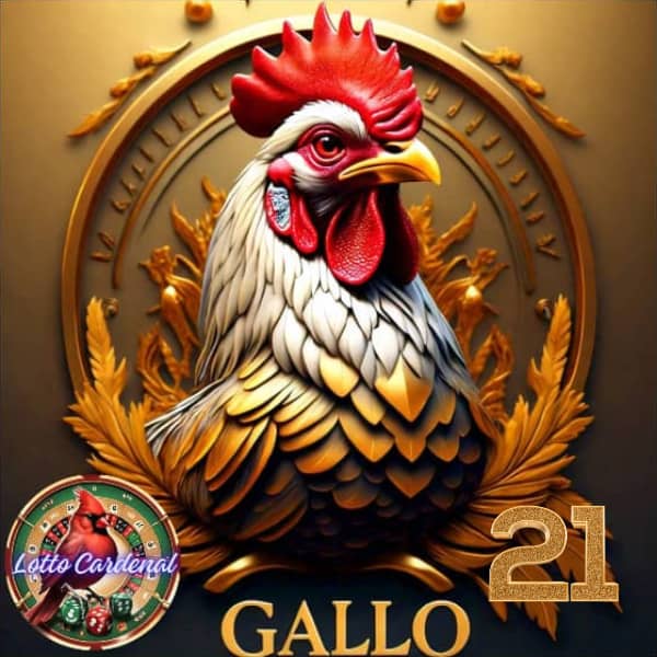 21-gallo