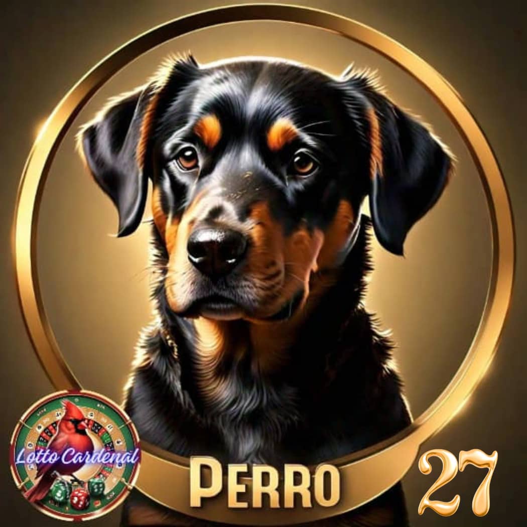 27-perro