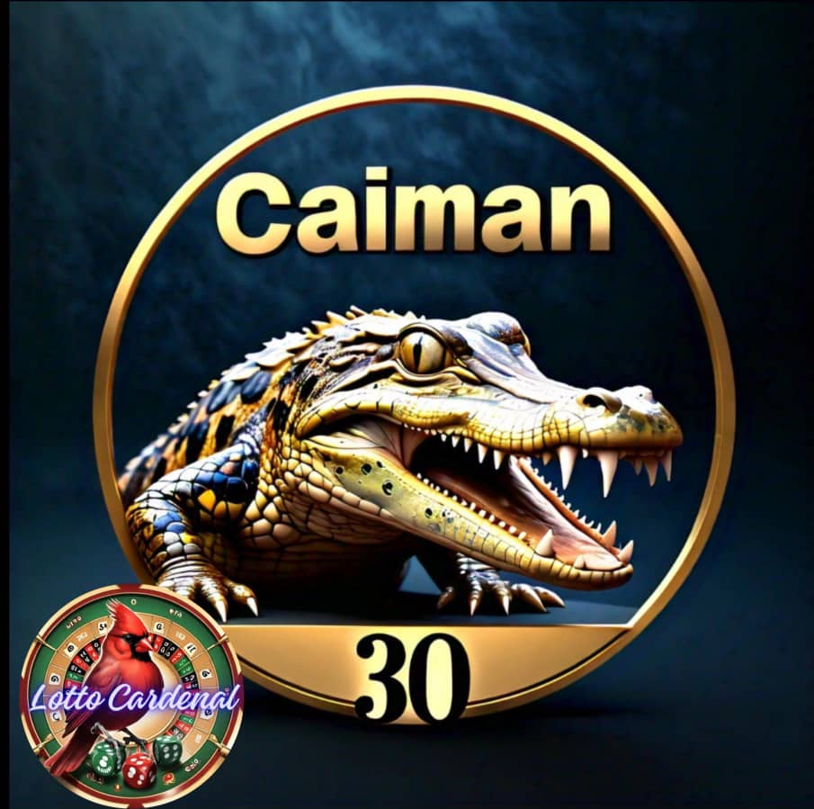 30-caiman