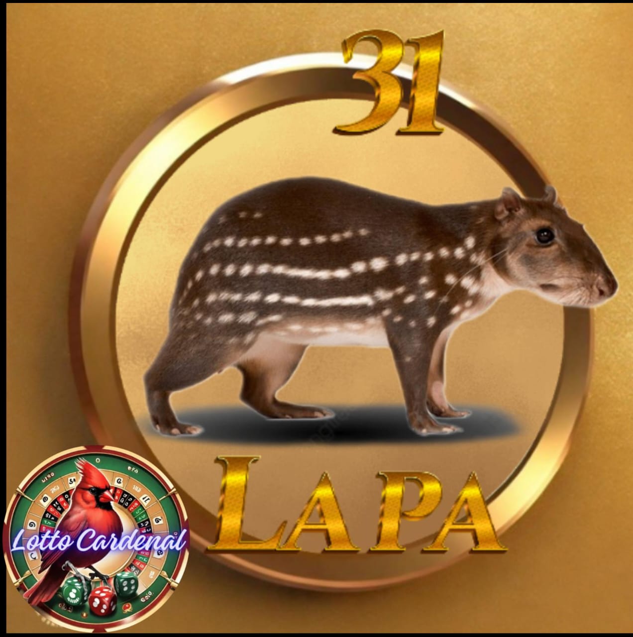 31-lapa