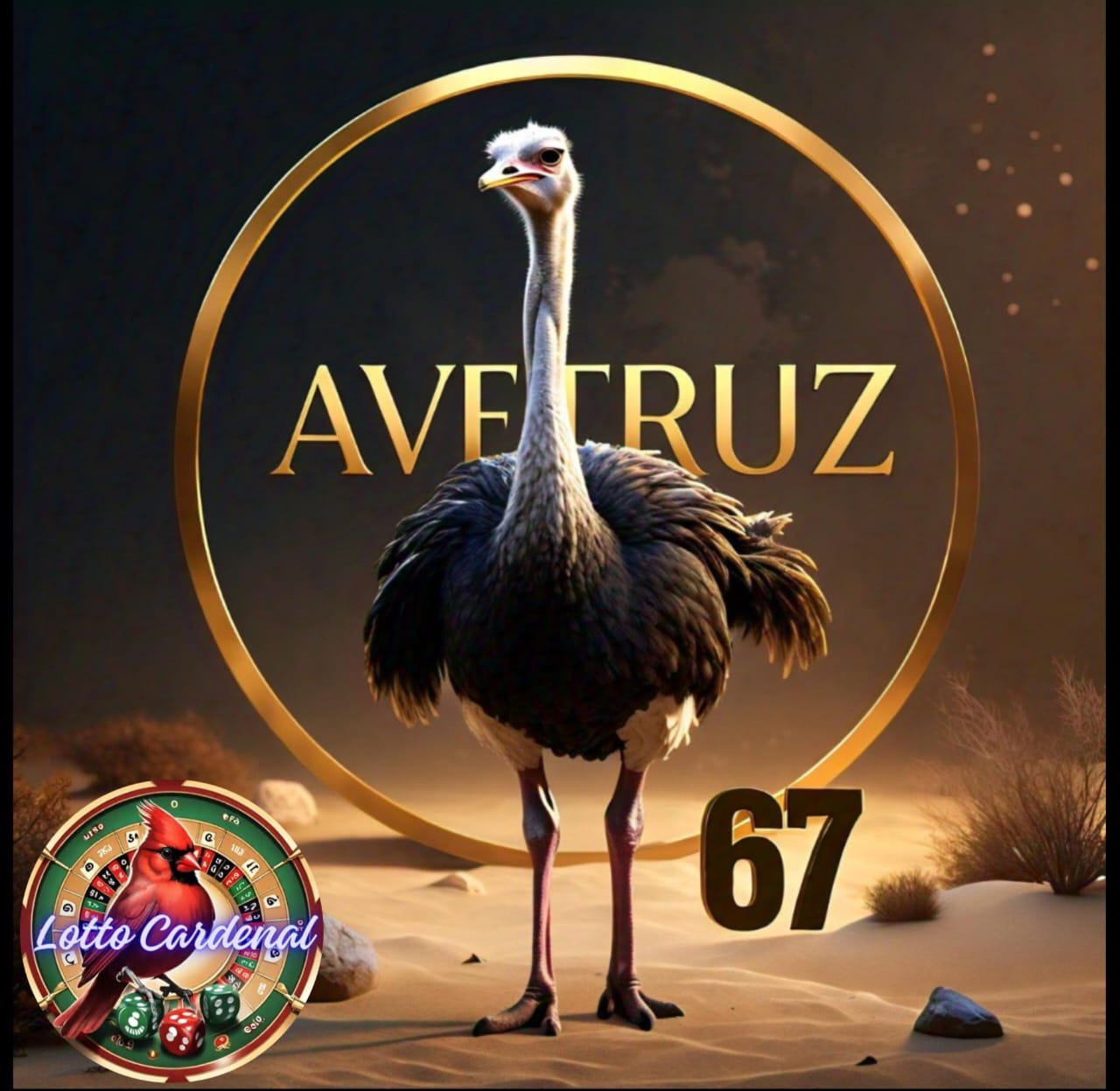 67-avestruz