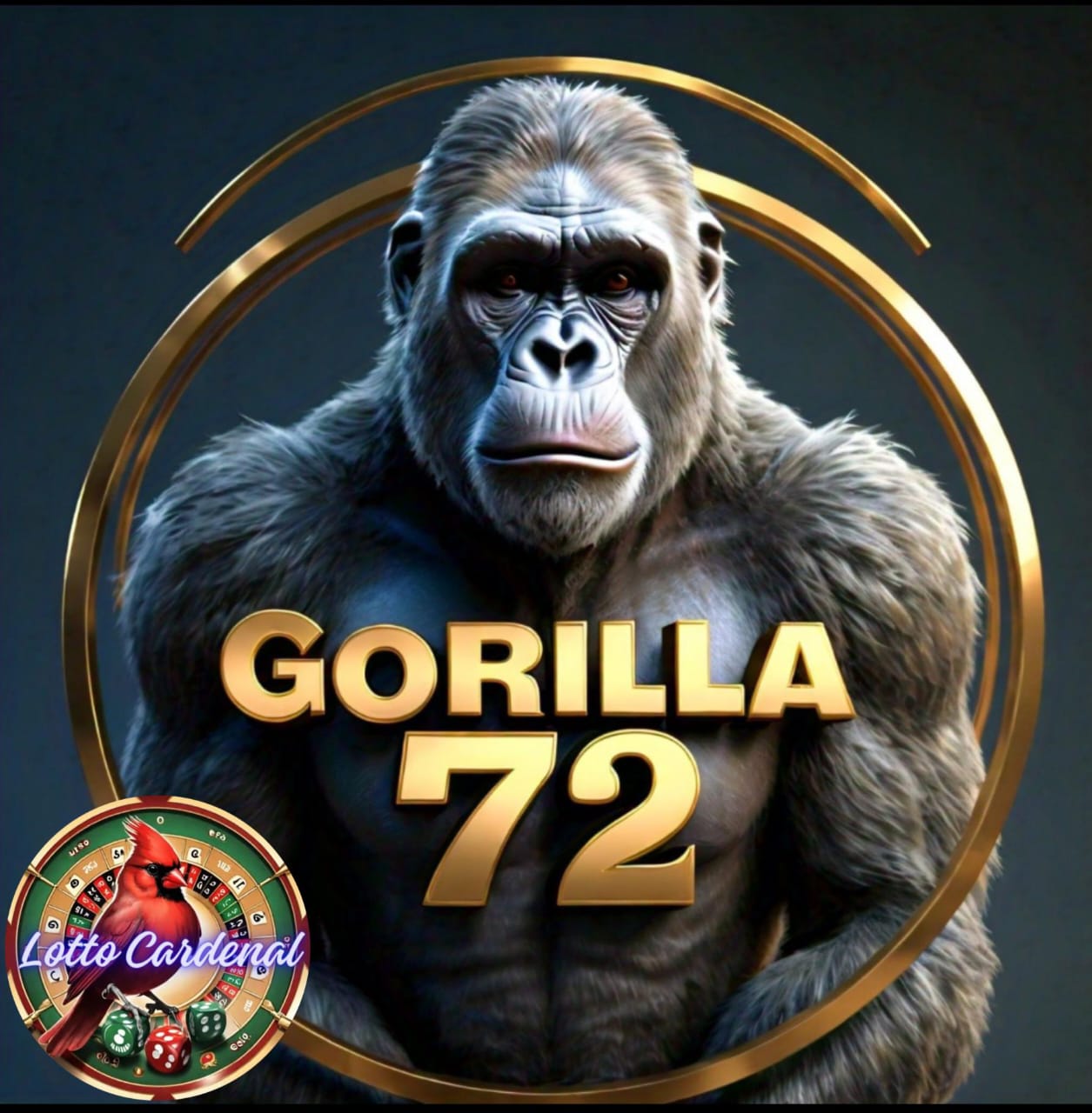 72-gorilla